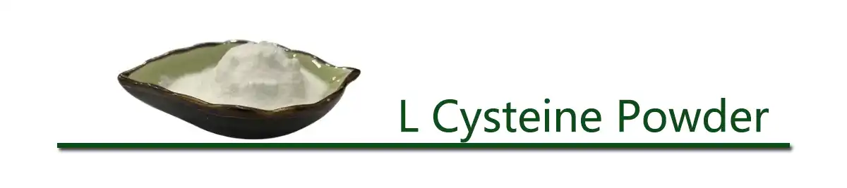 L Cysteine Powder.jpg